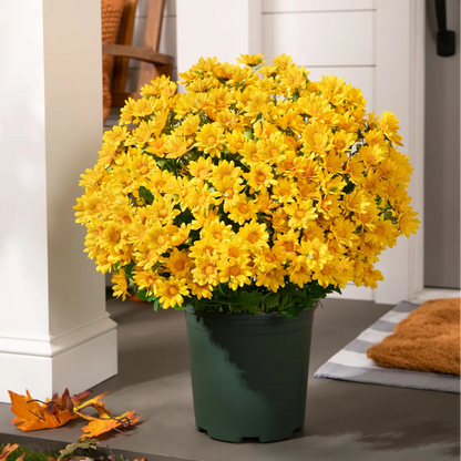 Last Day Each Only $3.99🌼- Artificial Outdoor Sunset Mums Flowers - UV resistant, Waterproof, Windproof