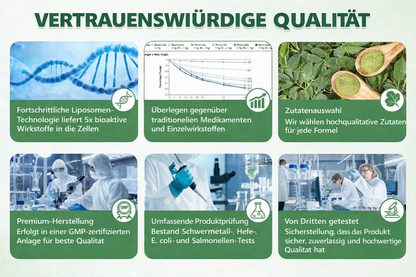 Offizieller Store | Alcuras Moringa × Berberin × AMPK 8-fach Slimming & Stoffwechsel-Nano-Mikronadel-Patch 🇺🇸 Nur 1× täglich · Sichtbare Veränderungen in 7 Tagen