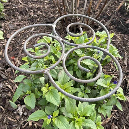 📢📢LAST DAY SALE 50% OFF🌱Plant Support