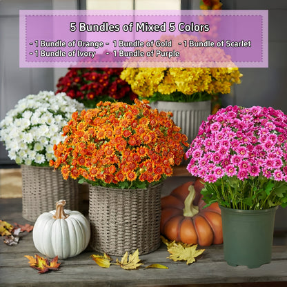 Last Day Each Only $3.99🌼- Artificial Outdoor Sunset Mums Flowers - UV resistant, Waterproof, Windproof