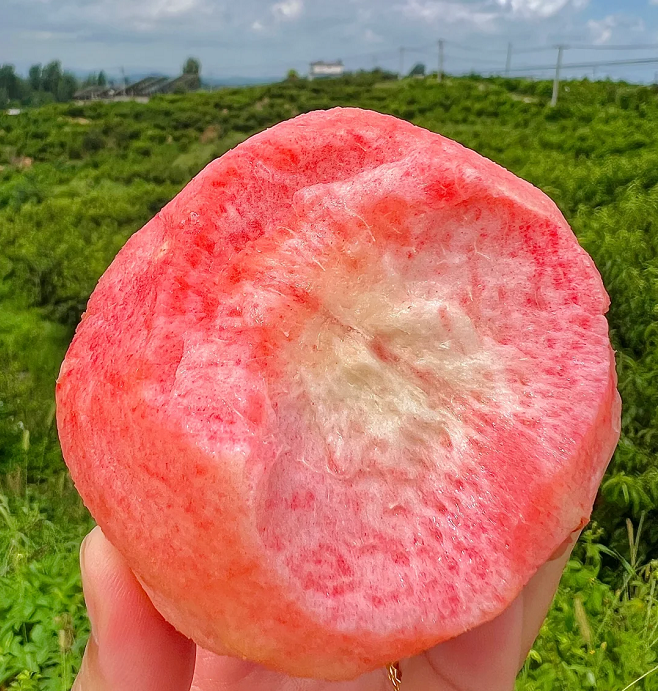 Peach Seeds