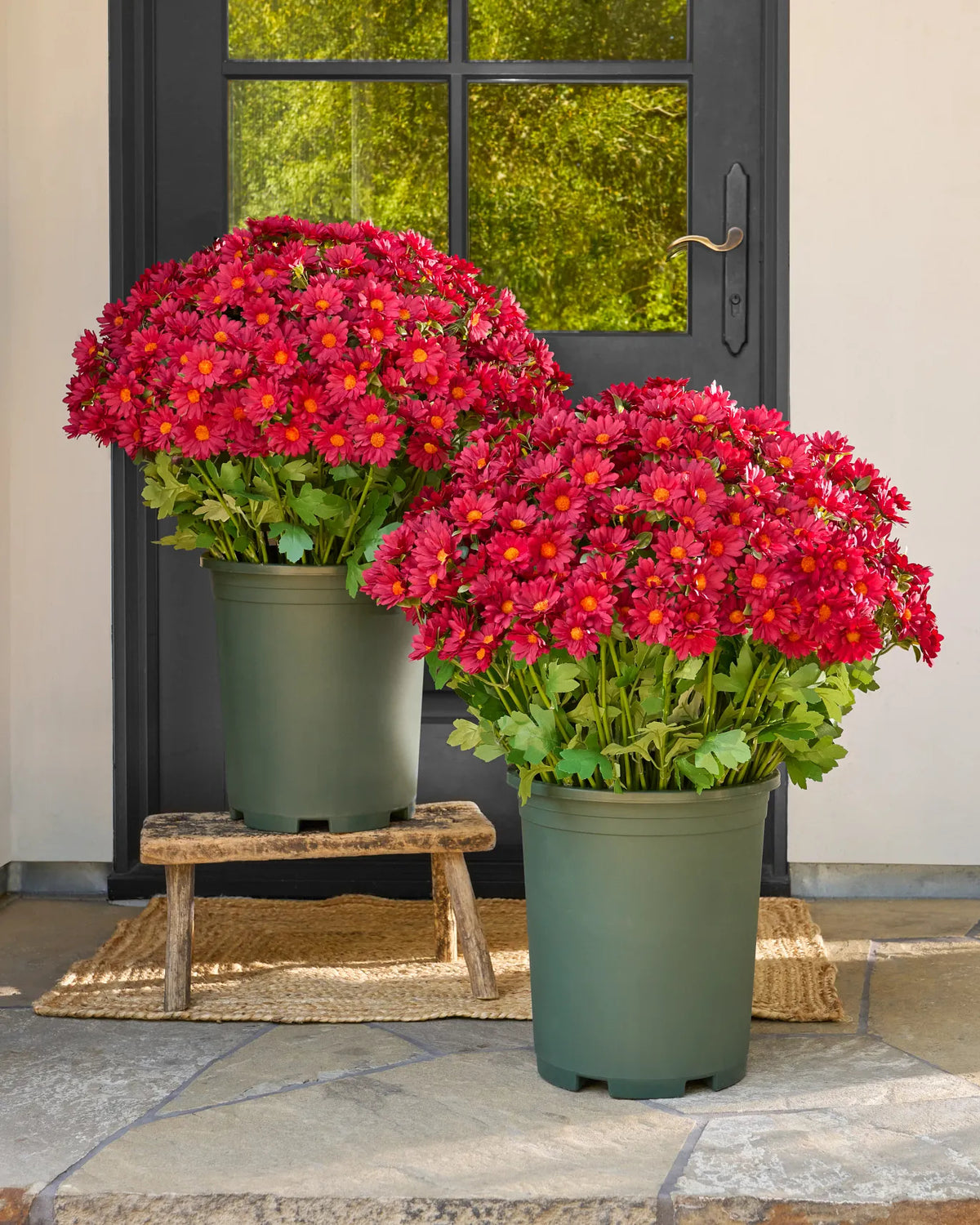Last Day Each Only $3.99🌼- Artificial Outdoor Sunset Mums Flowers - UV resistant, Waterproof, Windproof