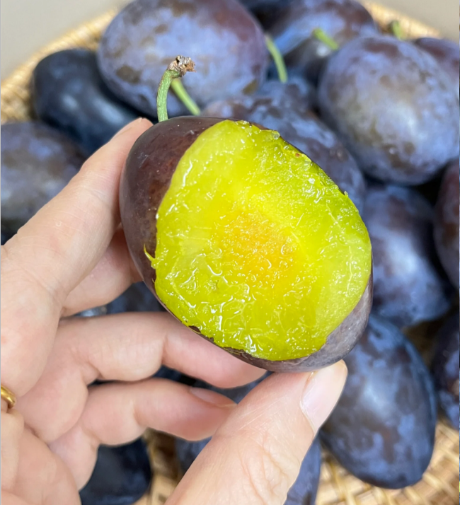 Blue Honey Prune Seeds
